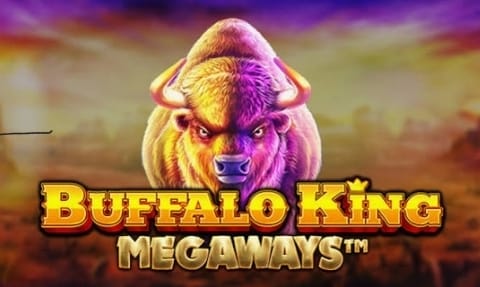 bufalo king